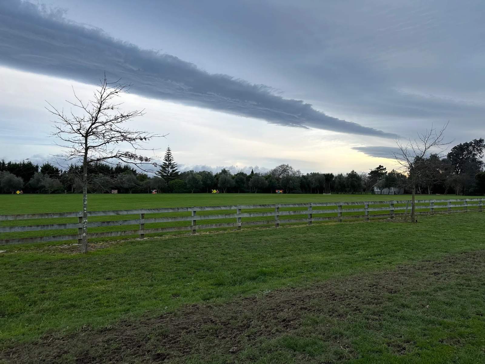Considine Park — photo 3