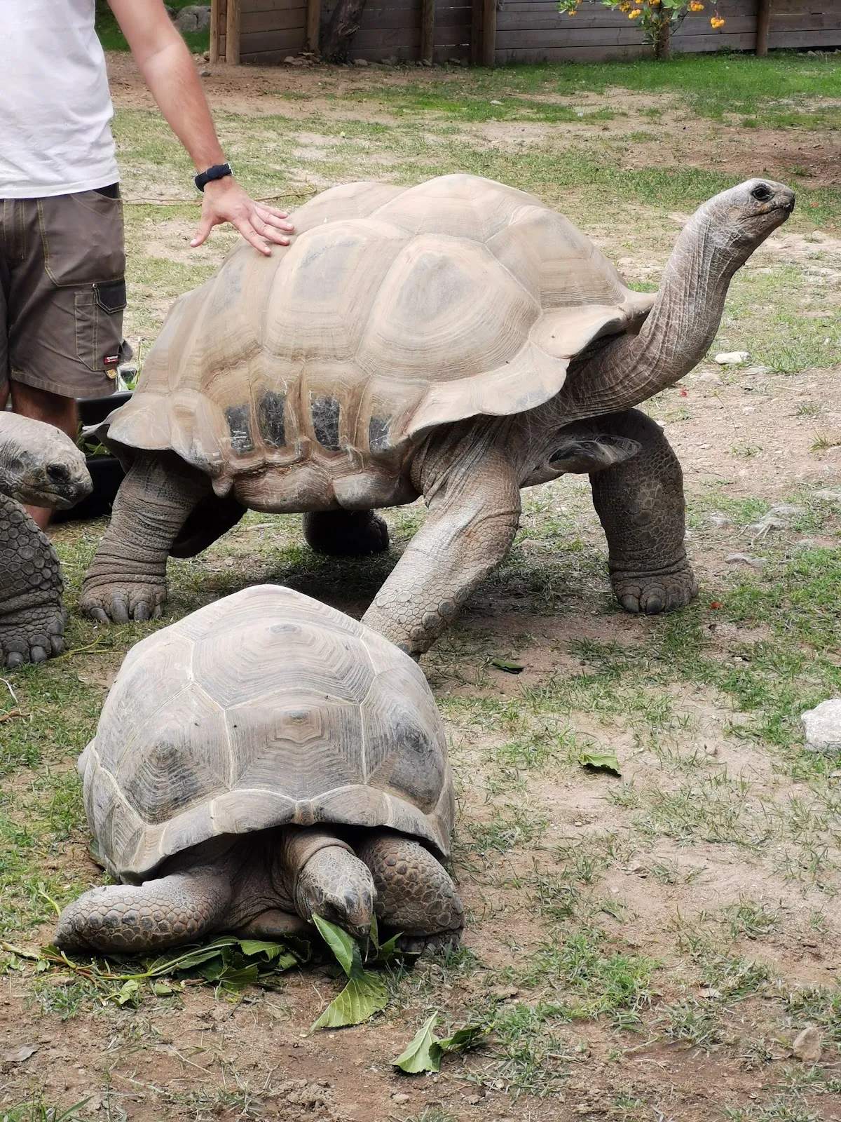 The Turtle Valley — photo 3