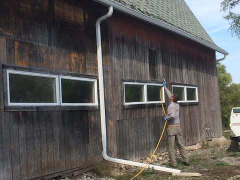 Triumph Pest Solutions — photo 2