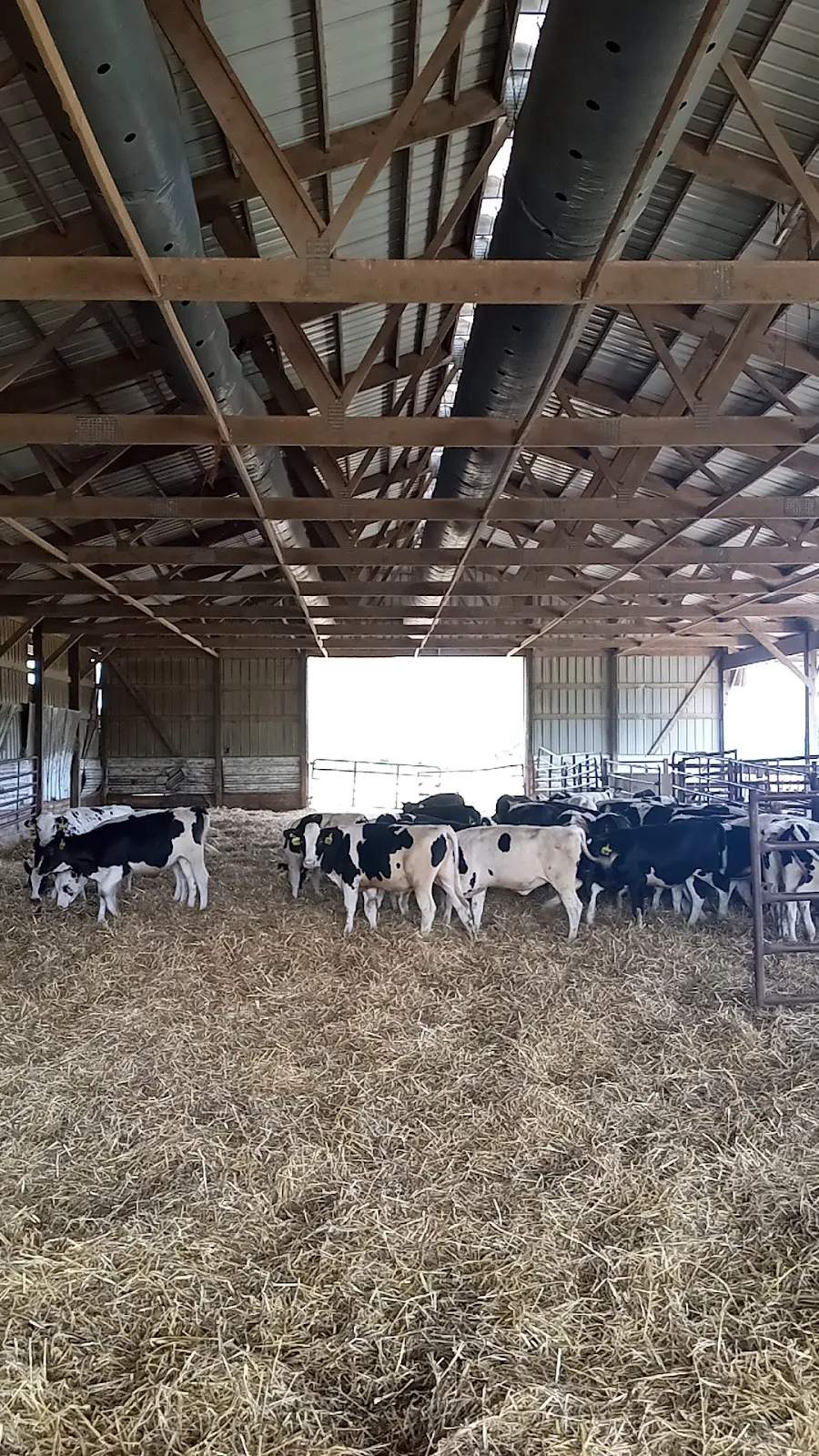 Rockland Dairy Inc — photo 1