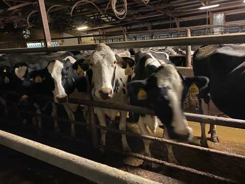 Rockland Dairy Inc — photo 2