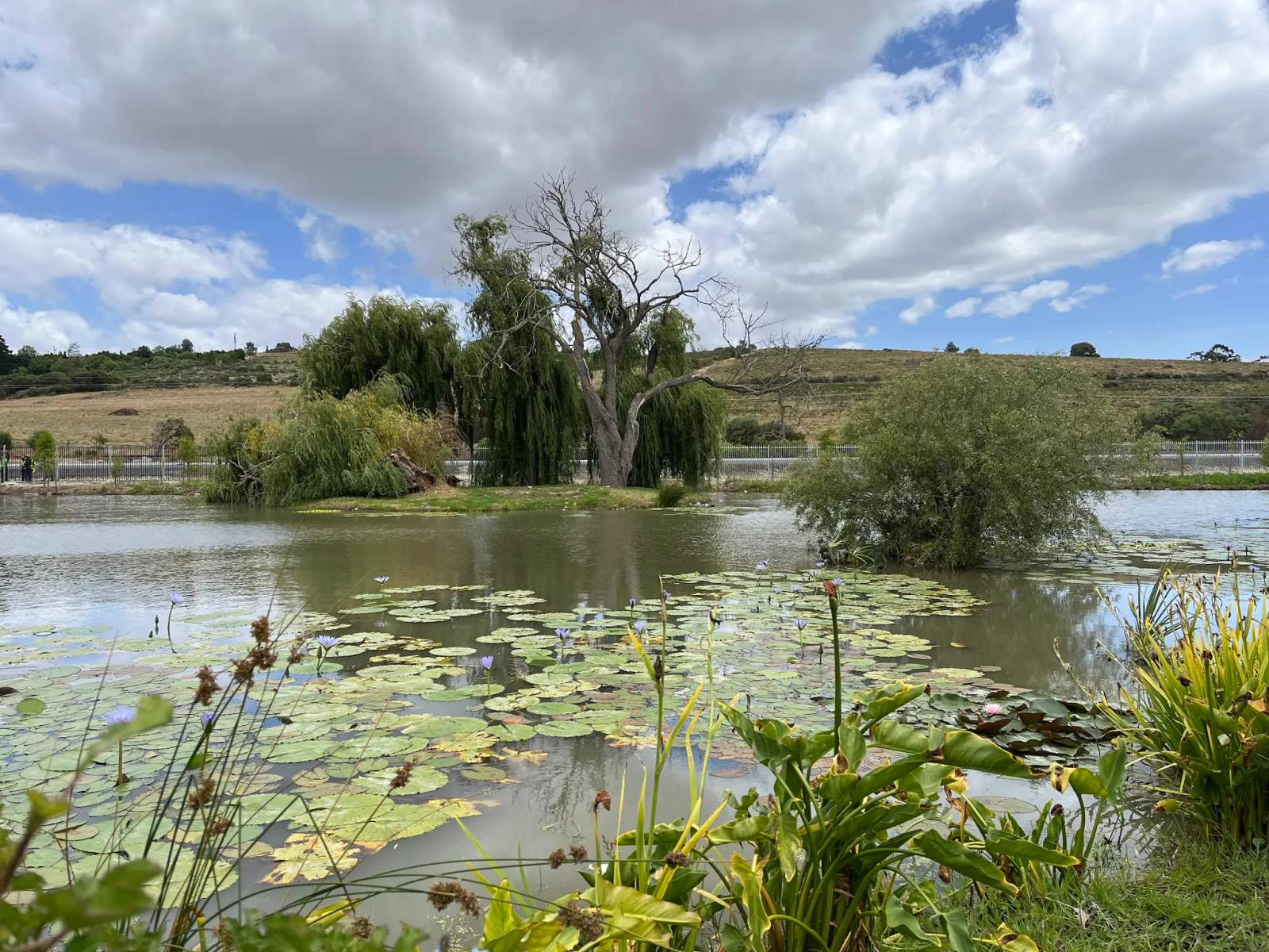 Spier Wine Farm — photo 2