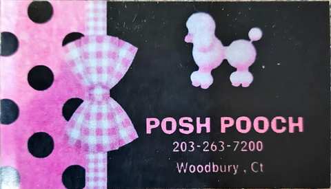 Posh Pooch — photo 3