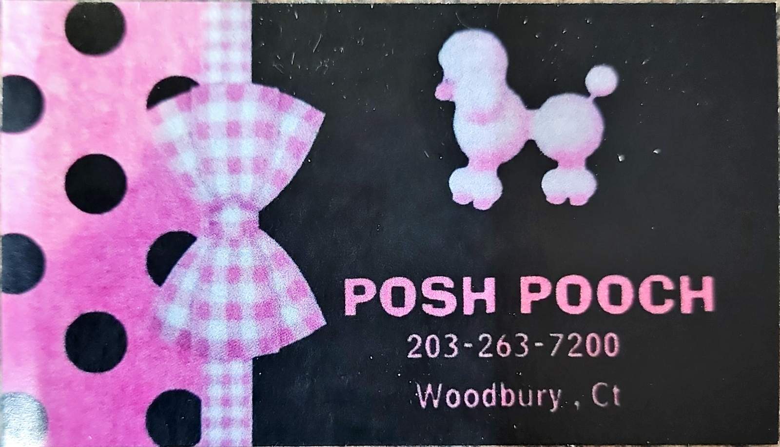 Posh Pooch — photo 3