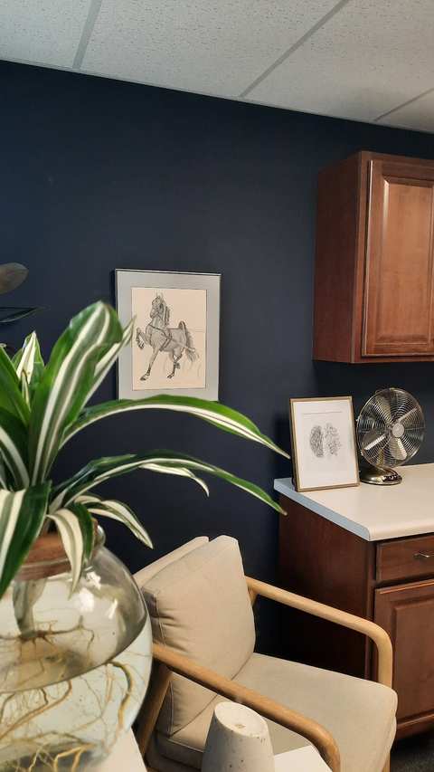 Renewed Focus Counseling, LLC — photo 3