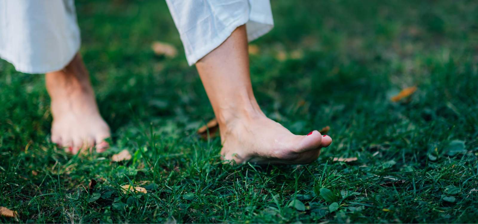 Soleshine Reflexology — photo 1