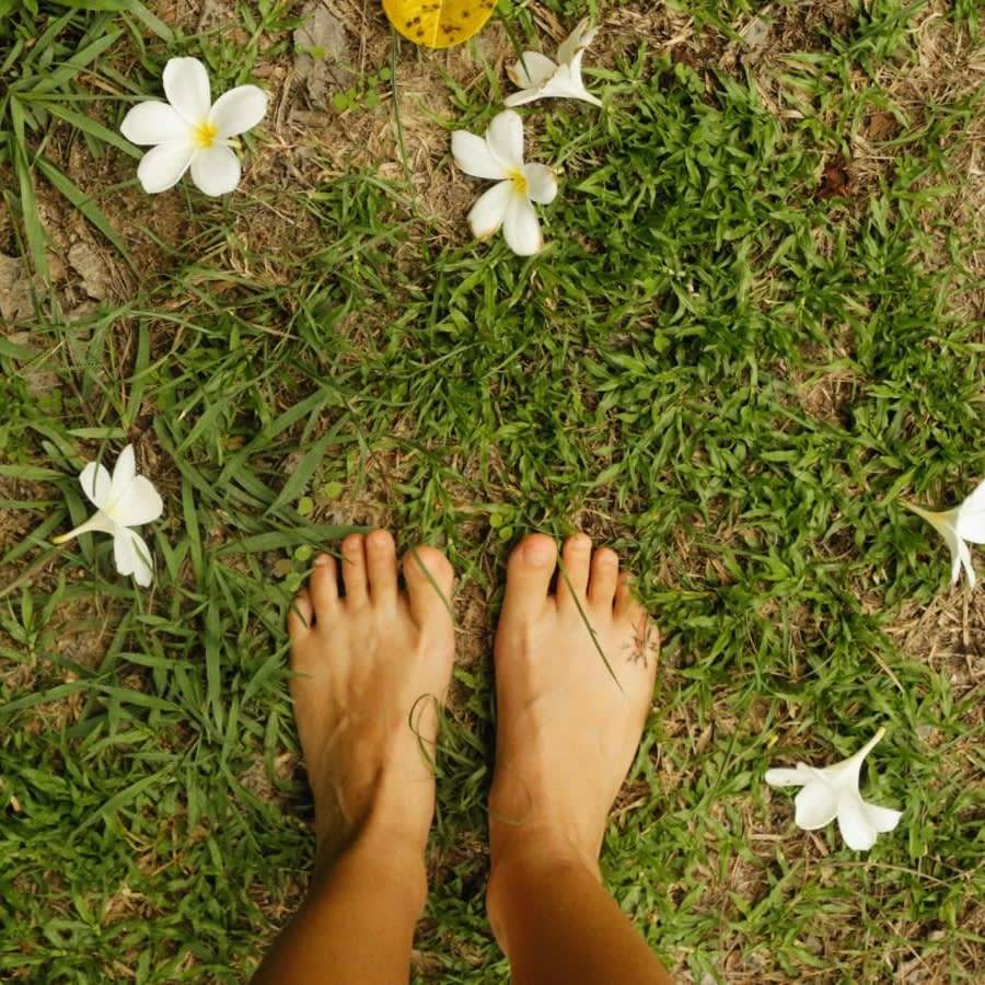 Soleshine Reflexology — photo 2