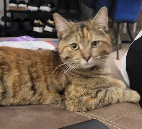 Elmbrook Humane Society — photo 2