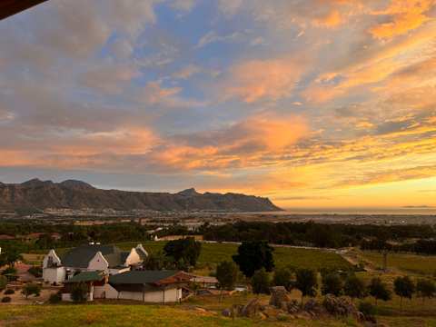 Capelands Wine Farm & Self-Catering — photo 3