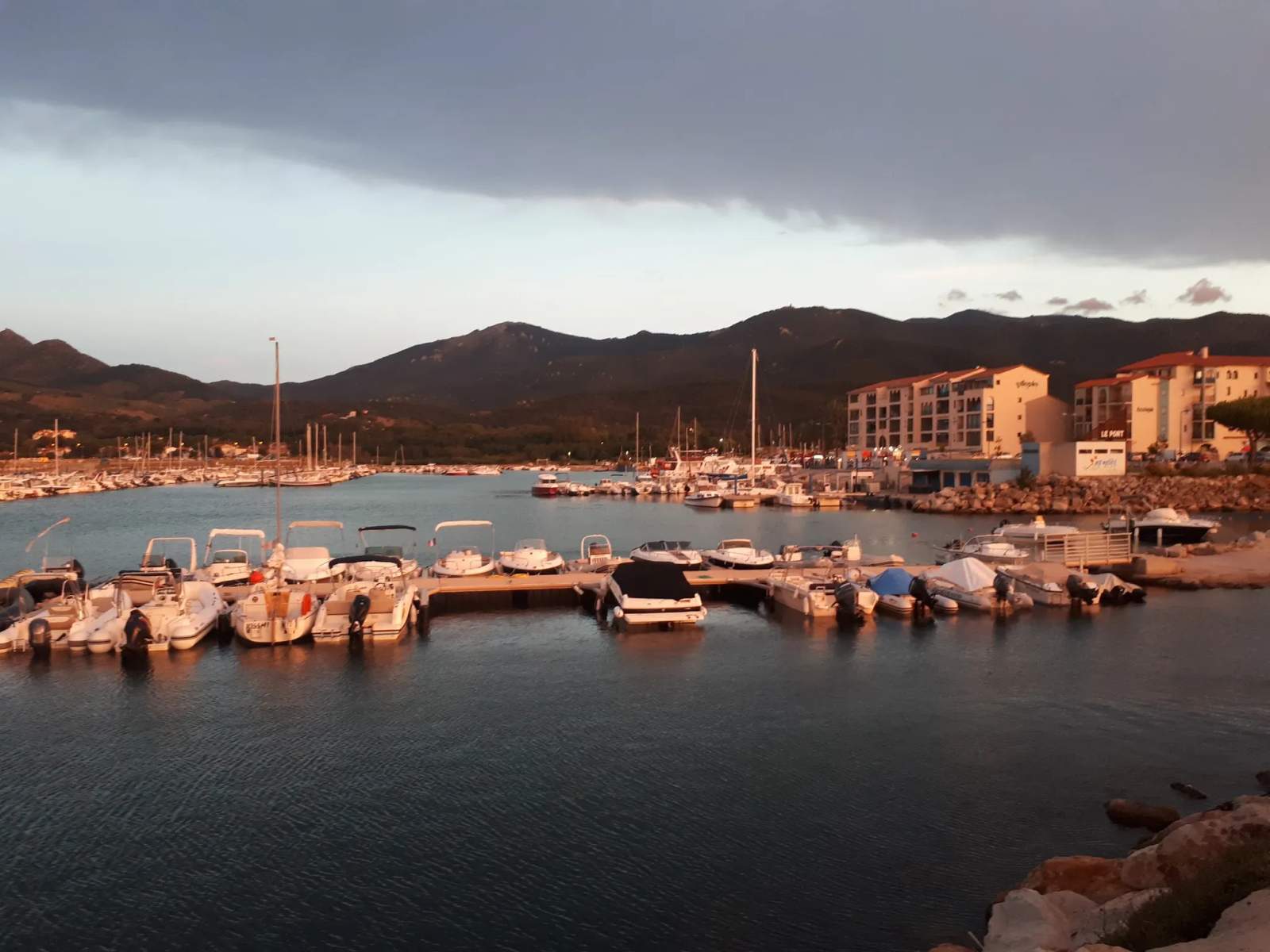 La Bodega du port — photo 5