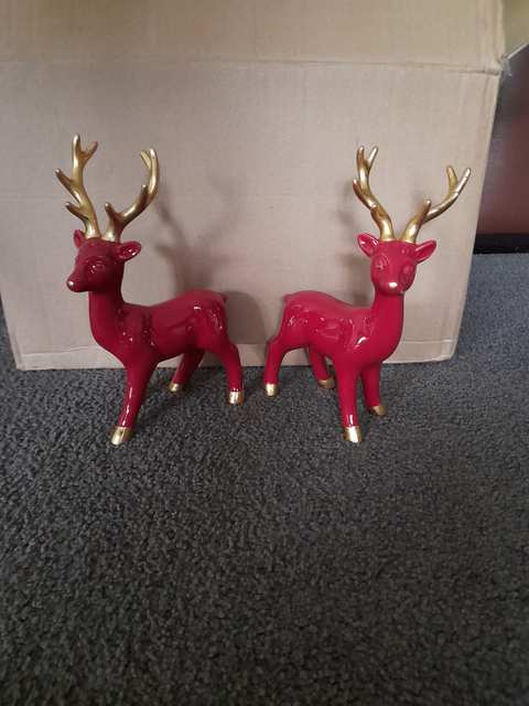 The Christmas Cracker — photo 3