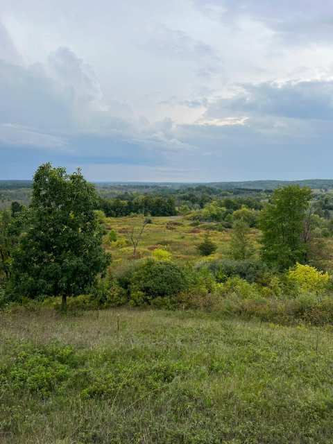 Dundee Mountain — photo 3