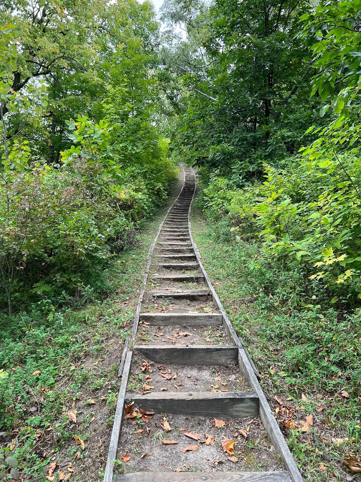 Dundee Mountain — photo 2