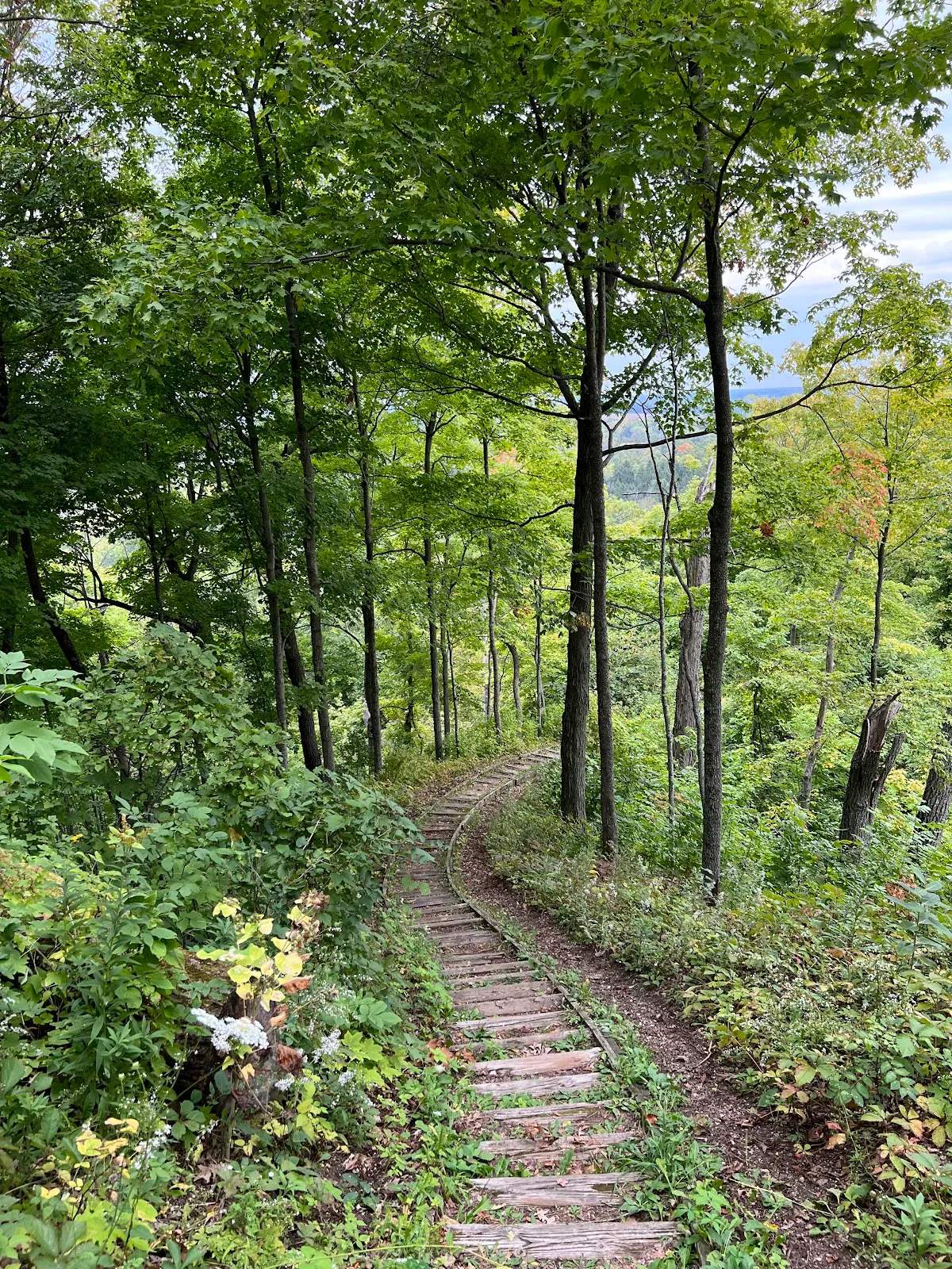 Dundee Mountain — photo 1