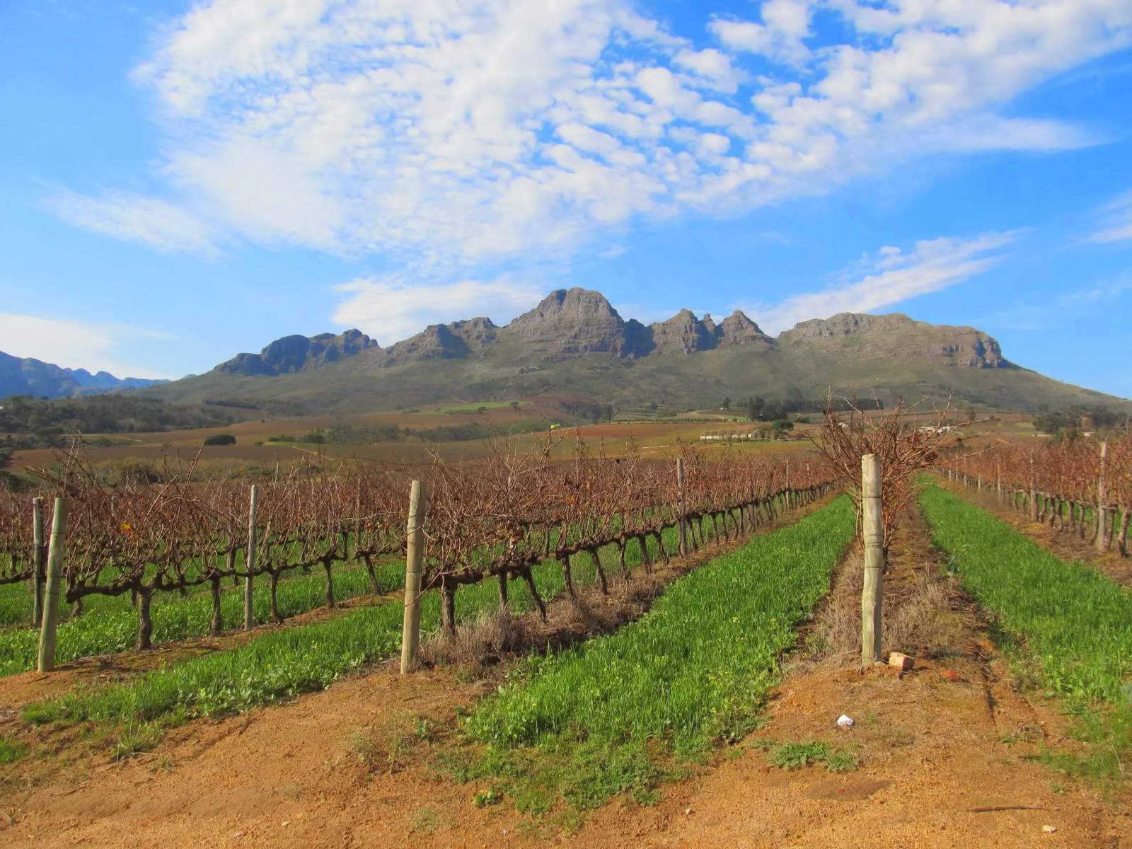 Vinehopper Wine Tours — photo 1