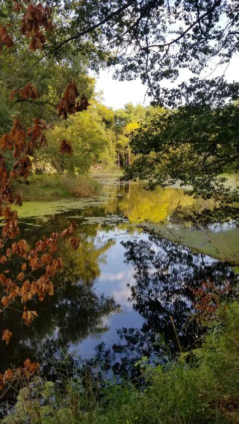 Arthur Jerving Conservancy — photo 2