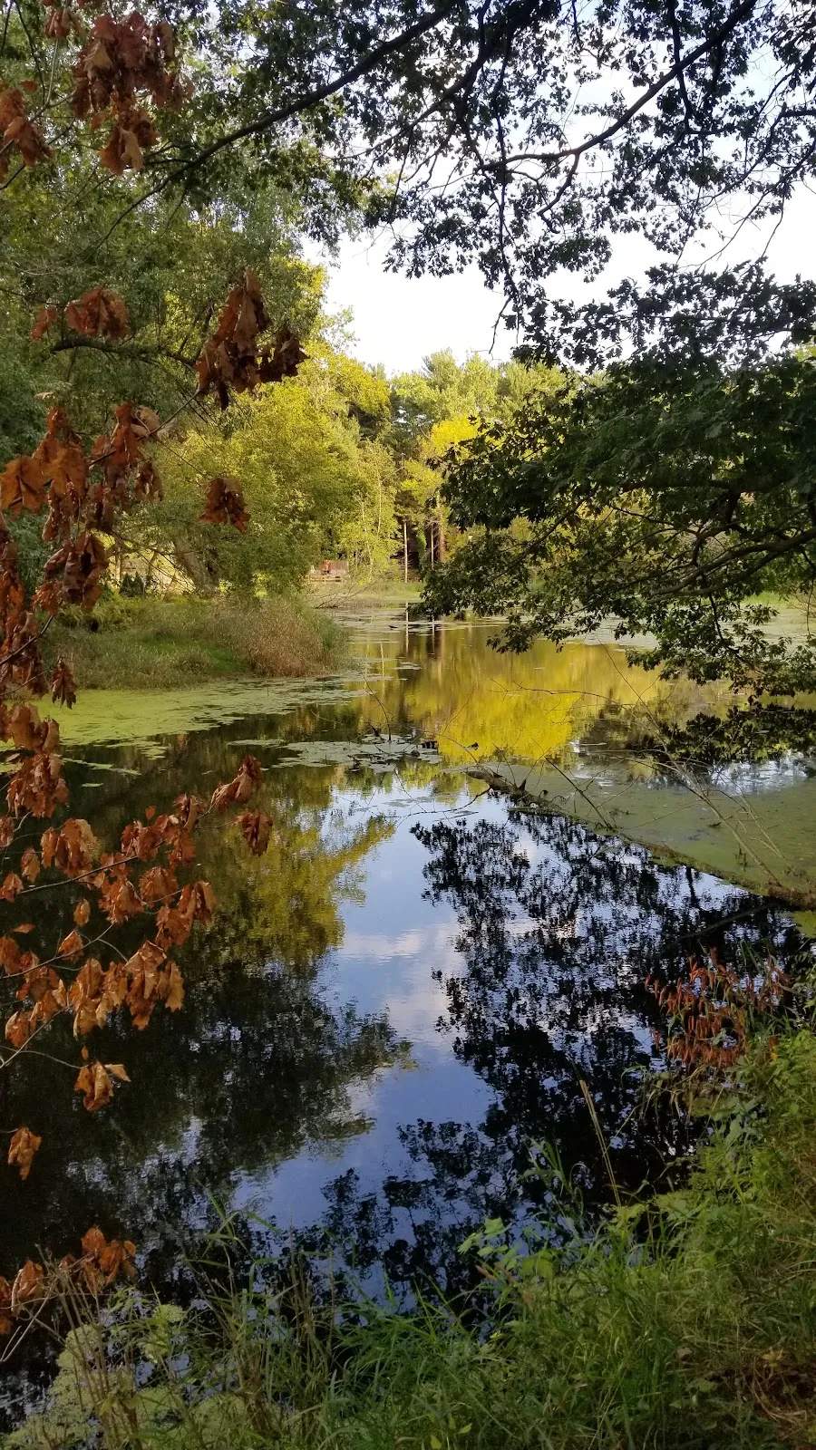 Arthur Jerving Conservancy — photo 2