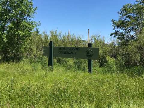 Arthur Jerving Conservancy — photo 3