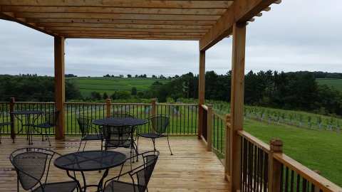 Vernon Vineyards — photo 3