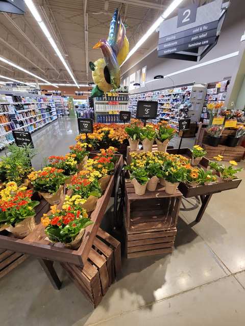 Pick 'n Save — photo 5