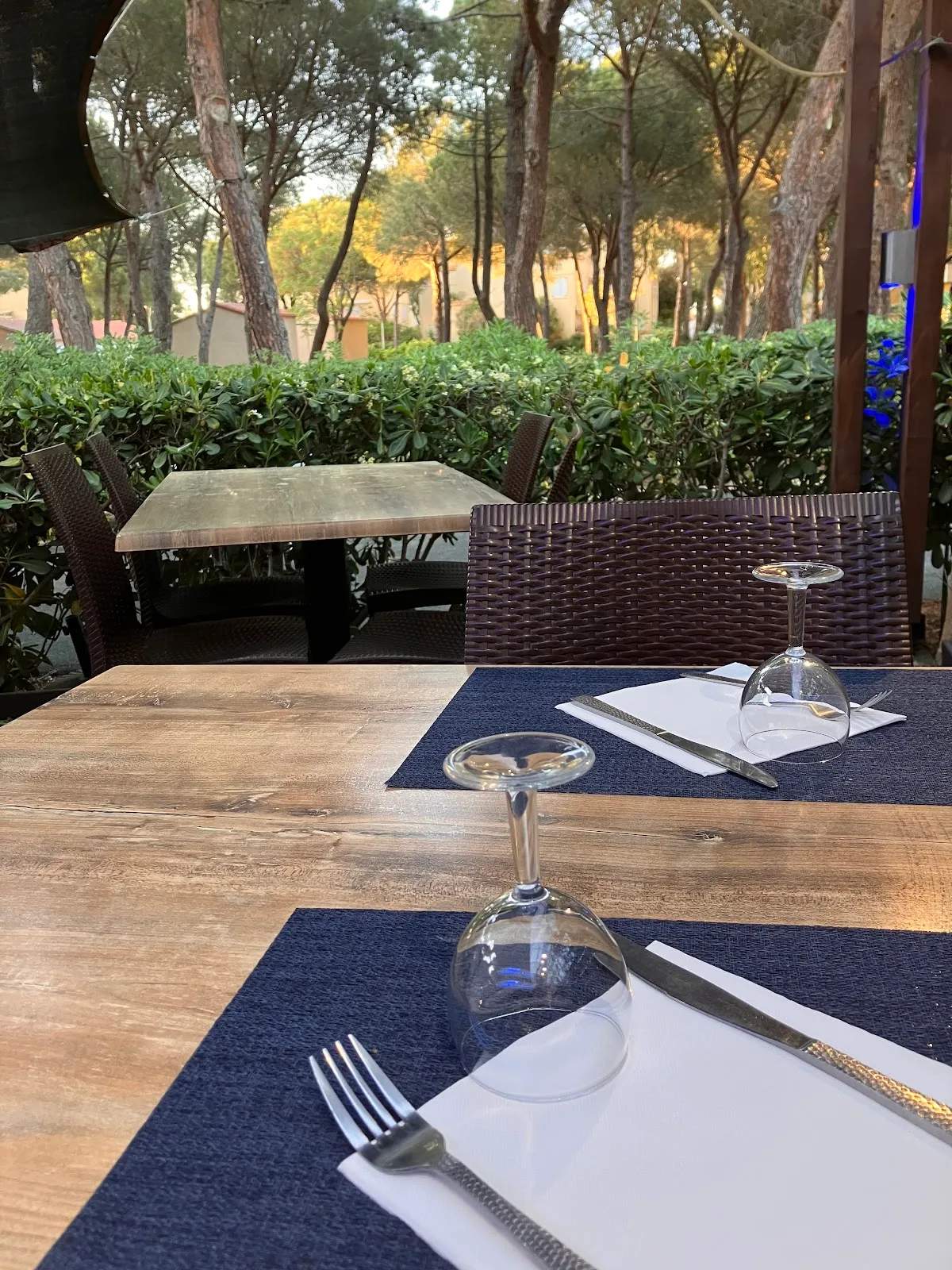 Le lamparo — photo 1
