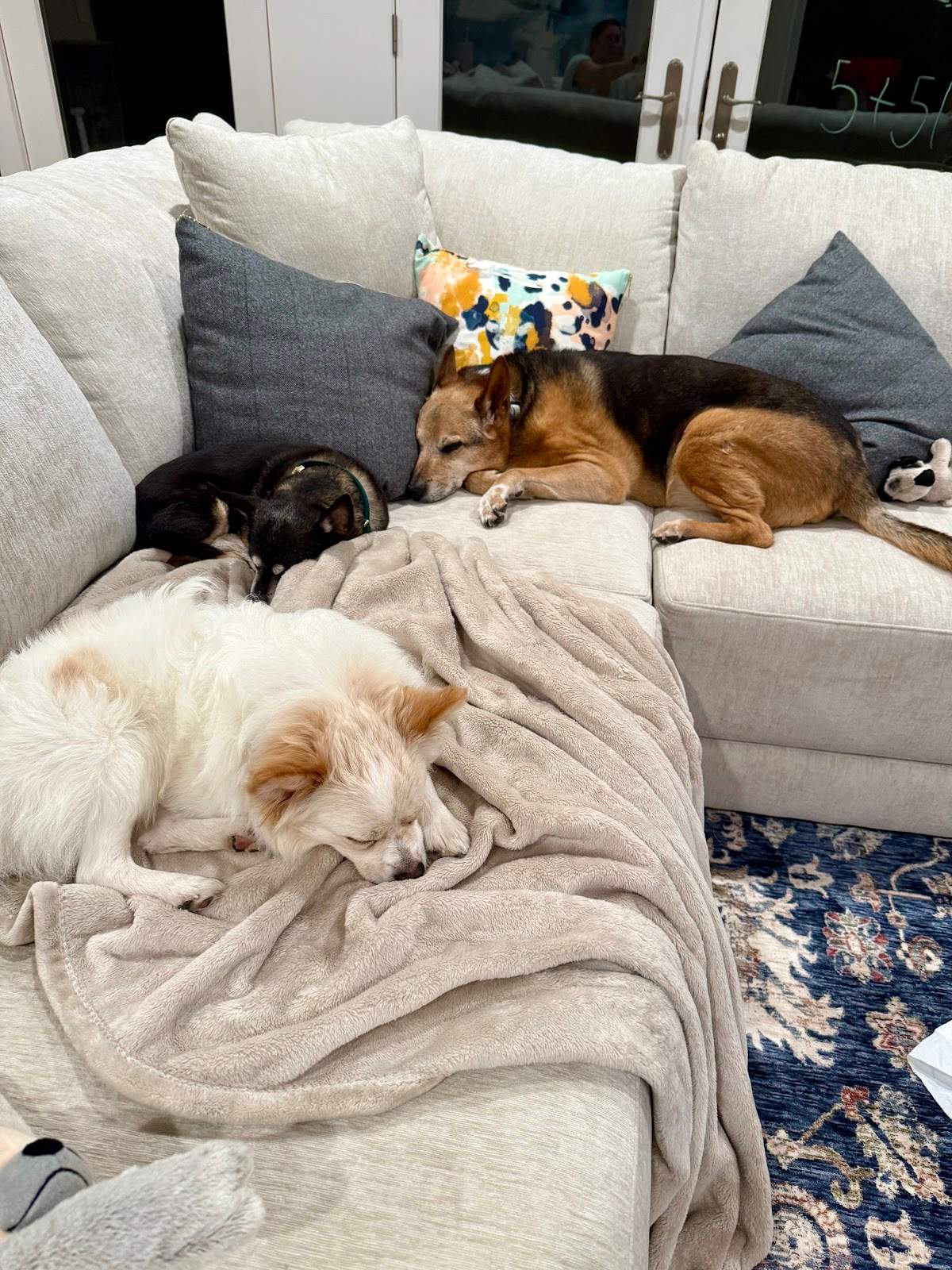 Tailwaggers911 — photo 1