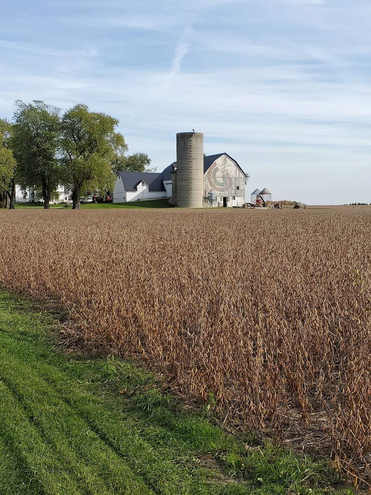 Silver Maple Farm LLC — photo 1