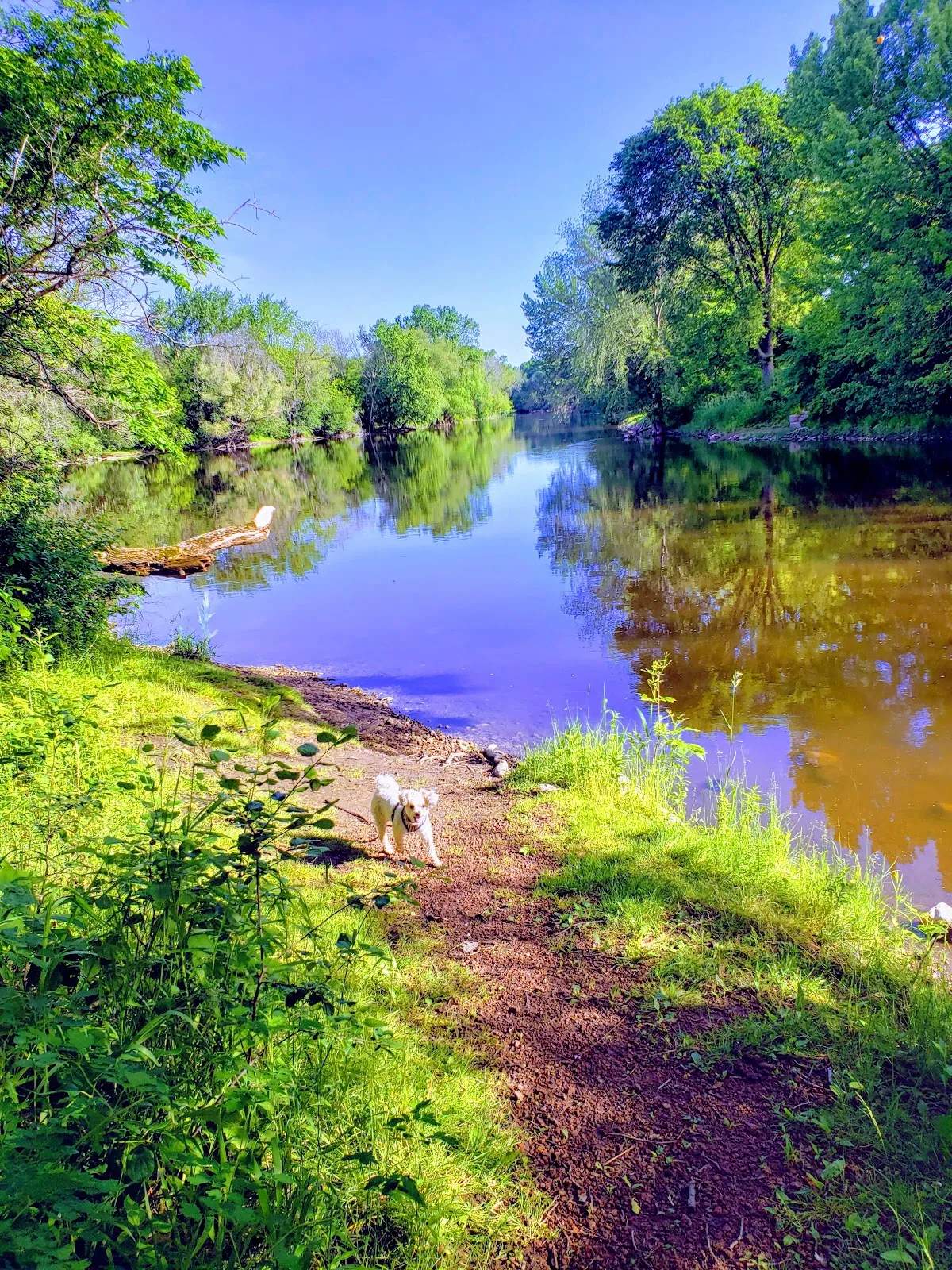 River Barn Park — photo 1