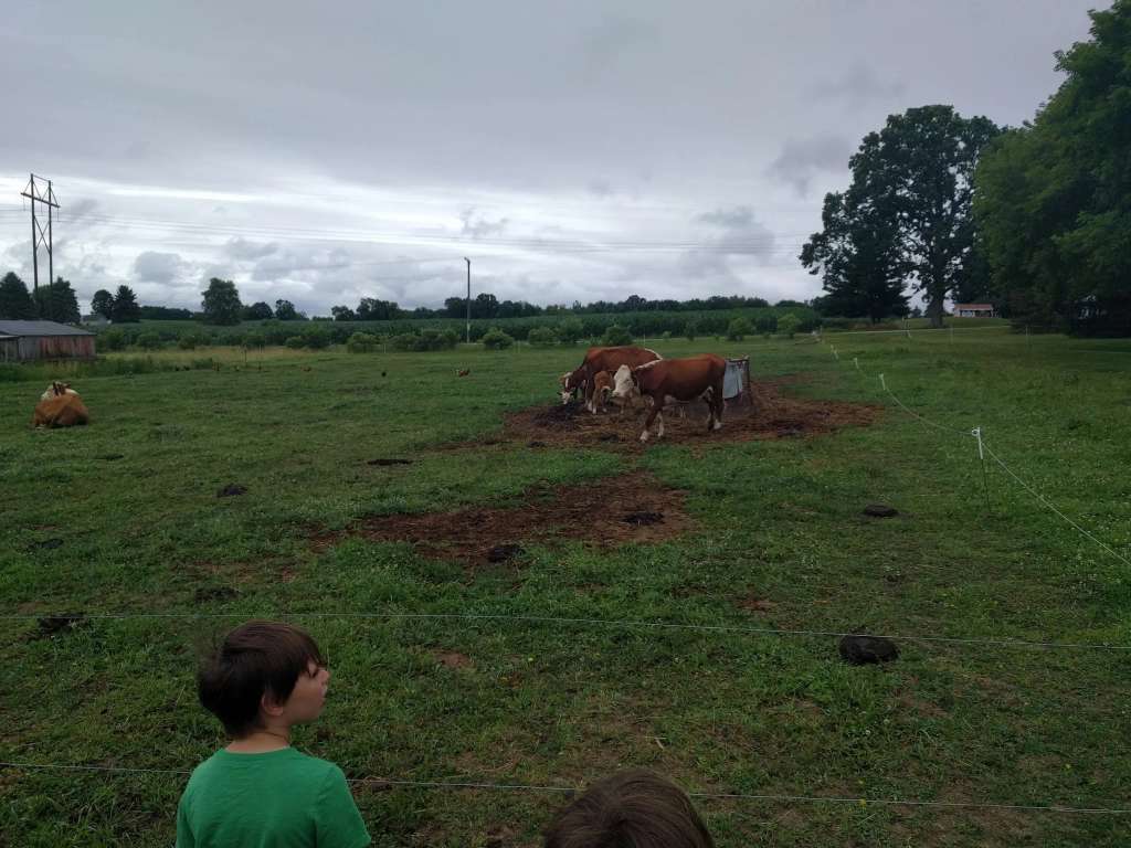 Morning Star Family Farm, LLC