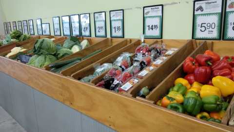 Pinehaven Orchards — photo 3