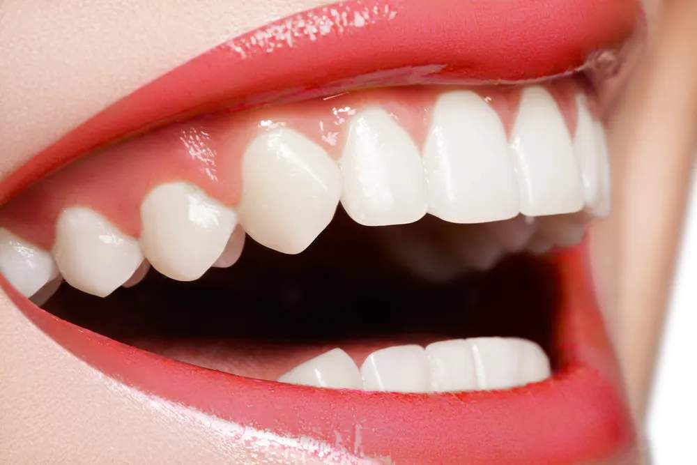 Middlebury Dental Center — photo 2