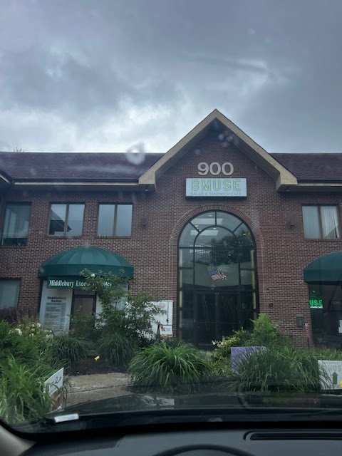 Middlebury Chiropractic & Wellness Center — photo 3