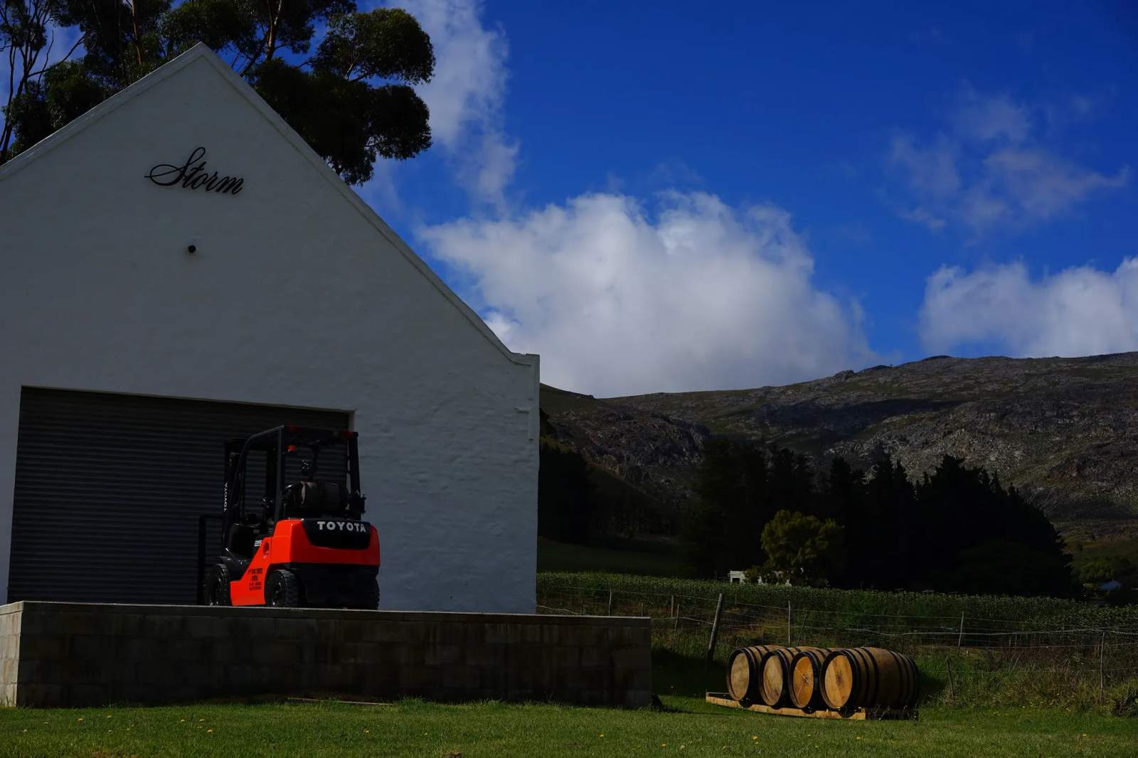 Storm Wines — photo 2