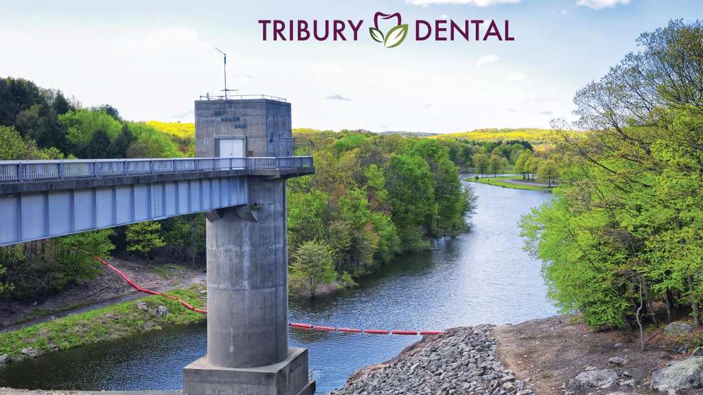 Tribury Dental