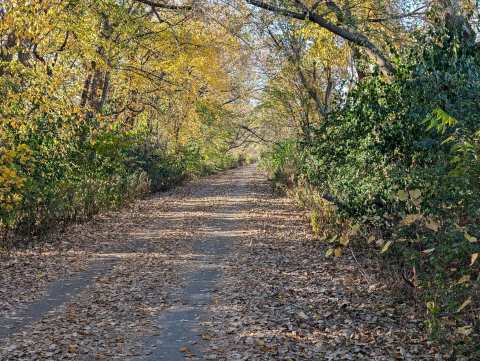 Oak Leaf Trail - Lake Line — photo 2