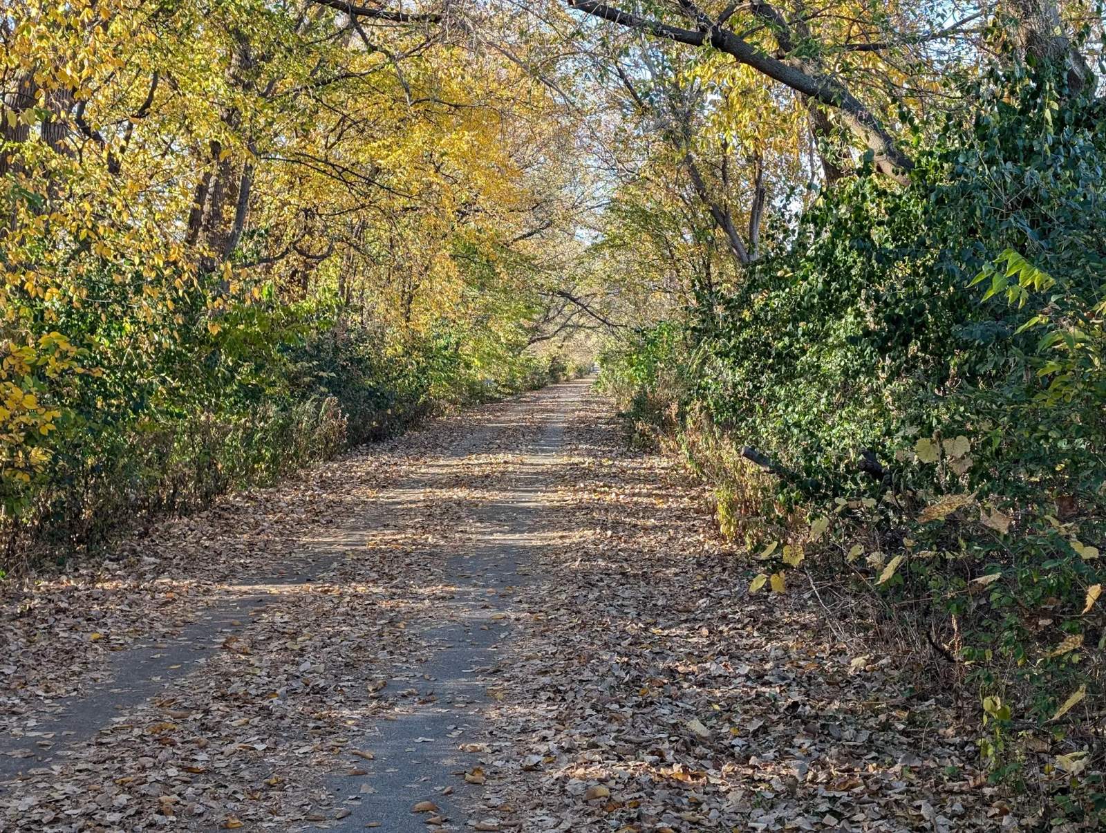 Oak Leaf Trail - Lake Line — photo 2