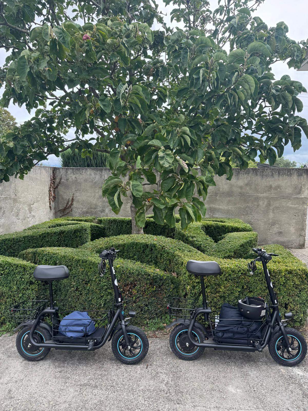 E-Rides Martinborough — photo 3