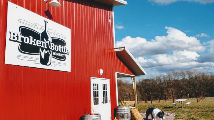 Broken Bottle Winery — photo 1