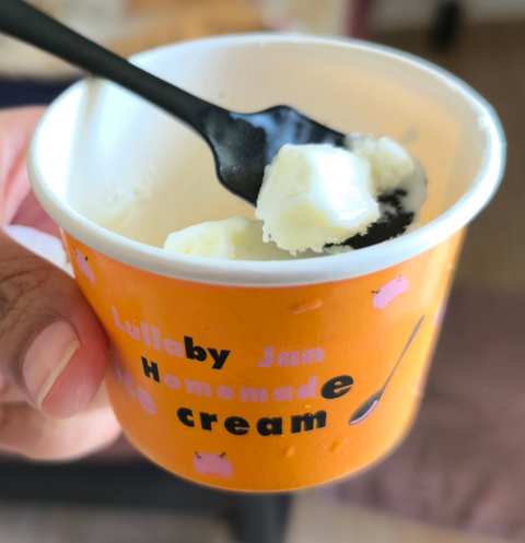 Homemade ice cream — photo 3