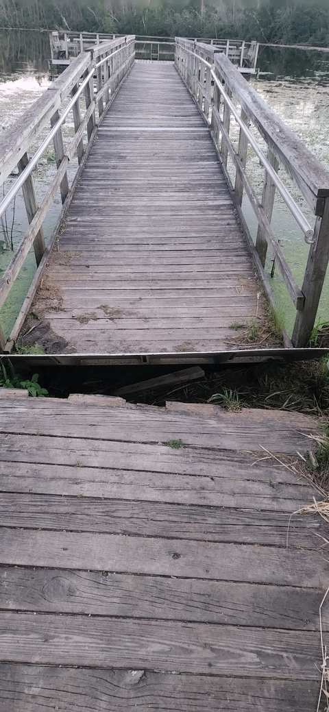 Gerber Lake Preservation Area — photo 2