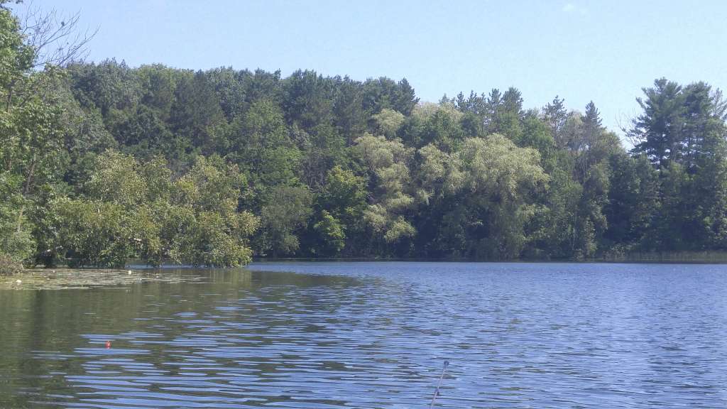 Gerber Lake Preservation Area