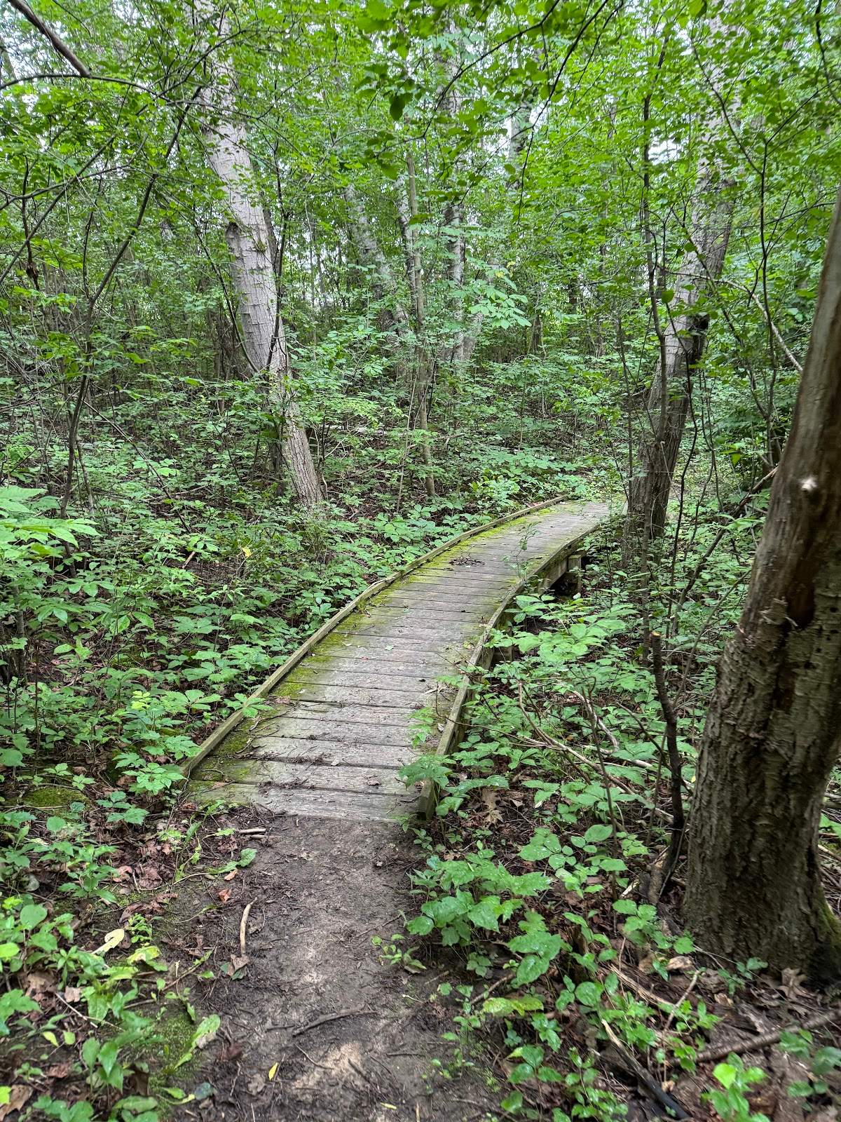Polk Kames State Ice Age Trail Area (SIATA) — photo 2