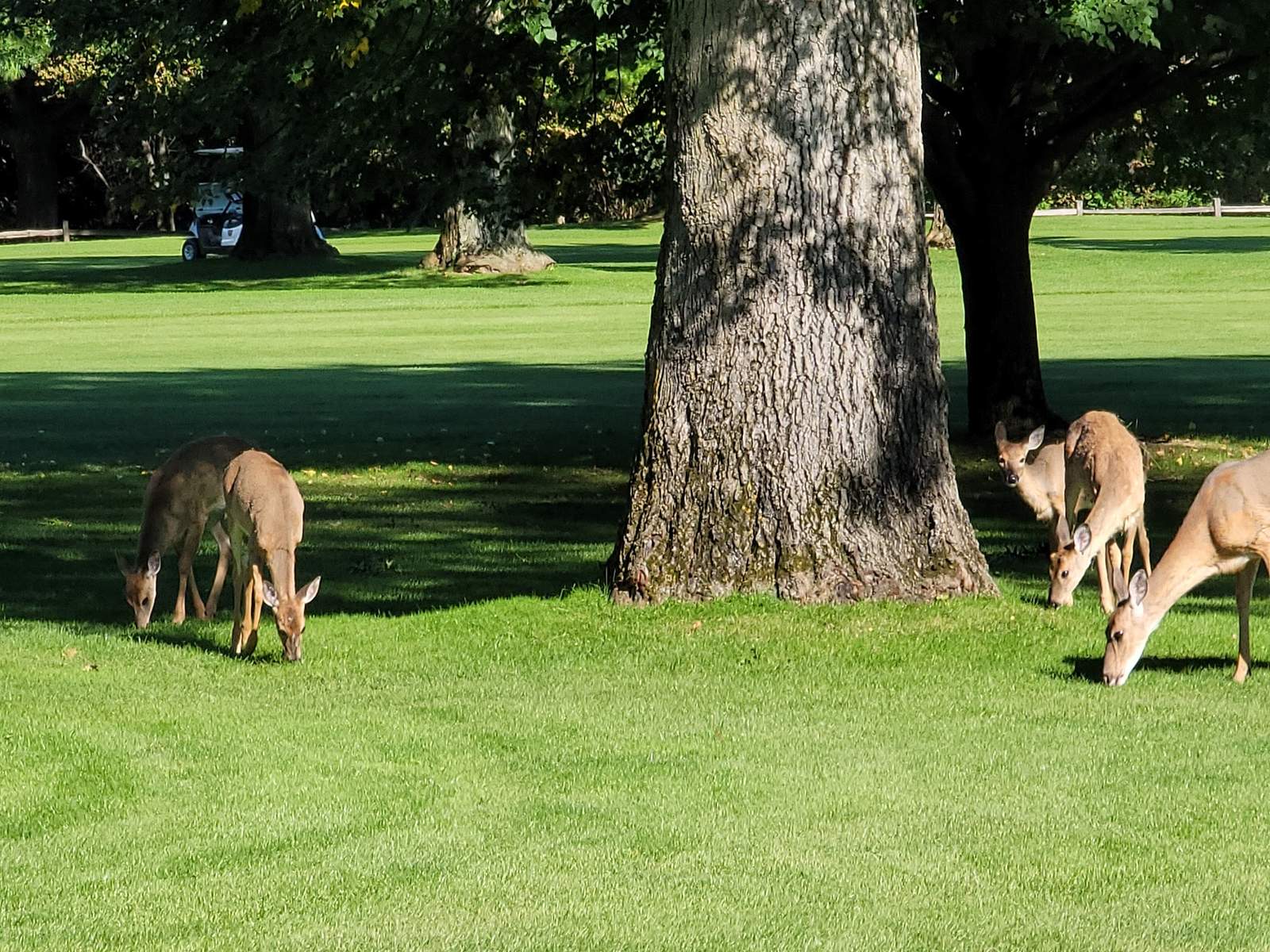 Riverside Golf Course — photo 2