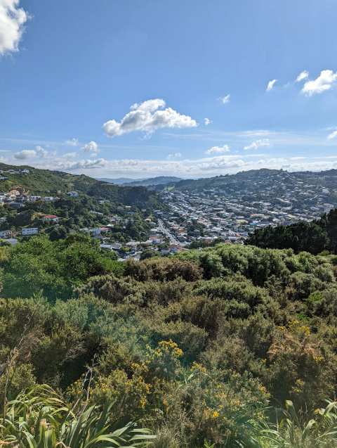 Oku Street Reserve — photo 3