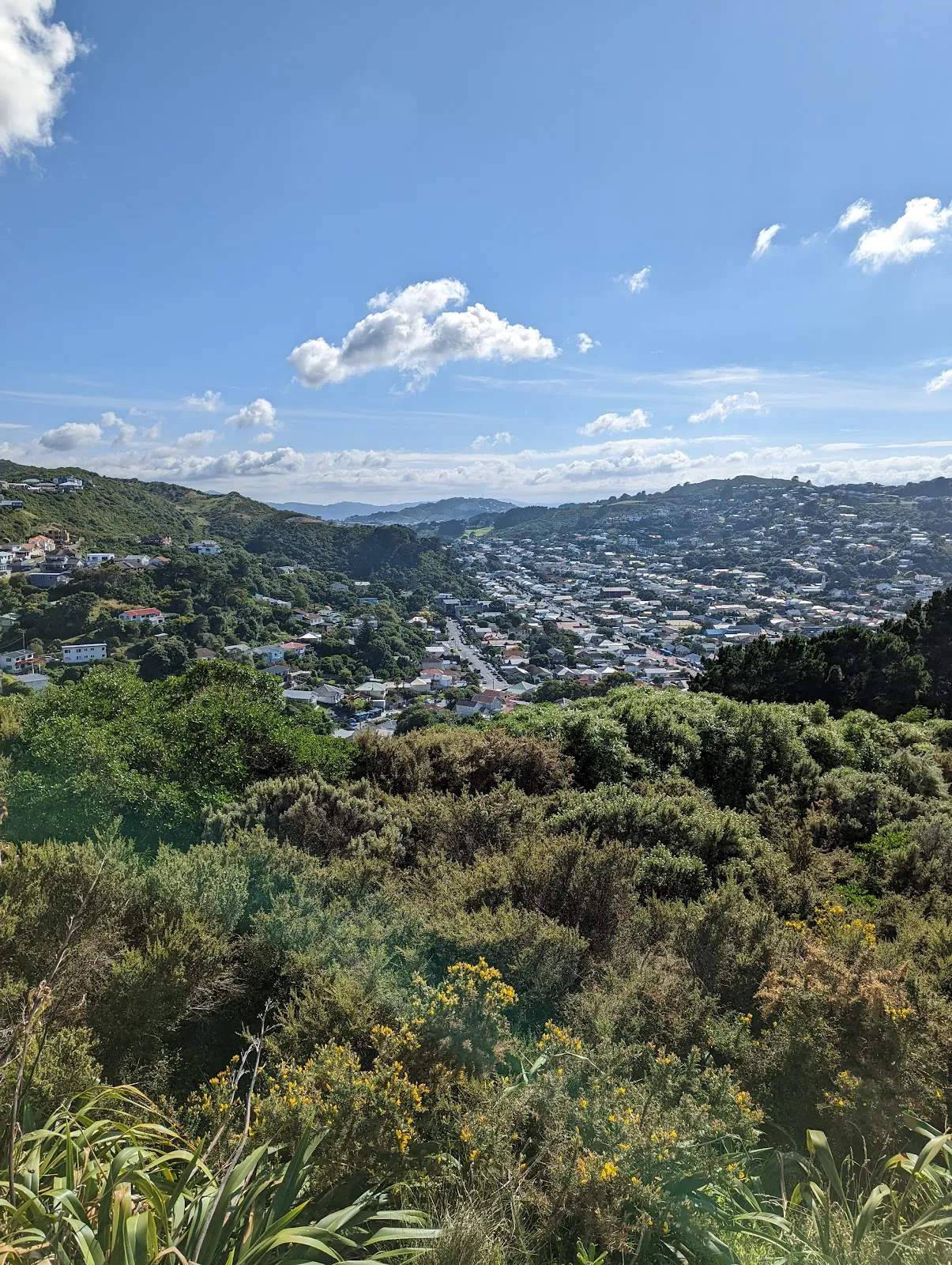 Oku Street Reserve — photo 3