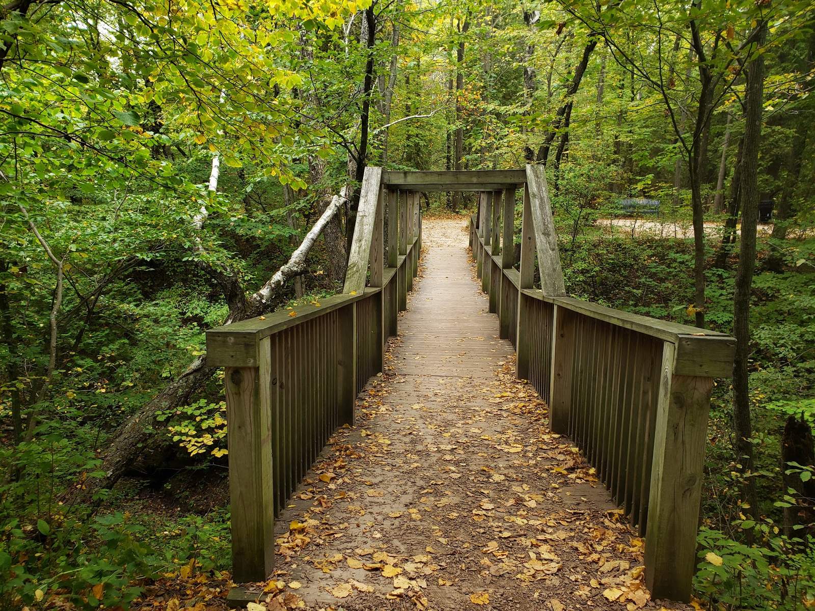 Lion's Den Gorge Nature Preserve — photo 3