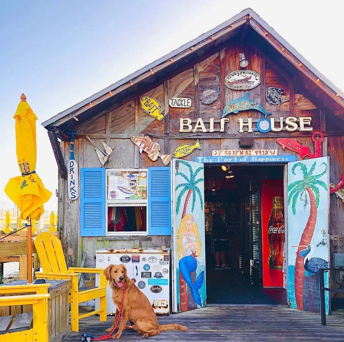 Bait House Tackle & Tavern — photo 1
