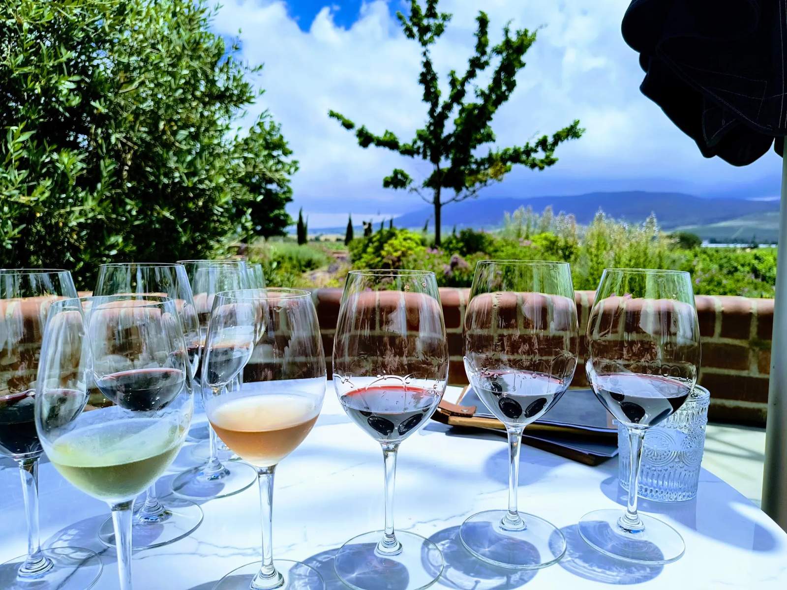 Bacco Estate Winery — photo 5
