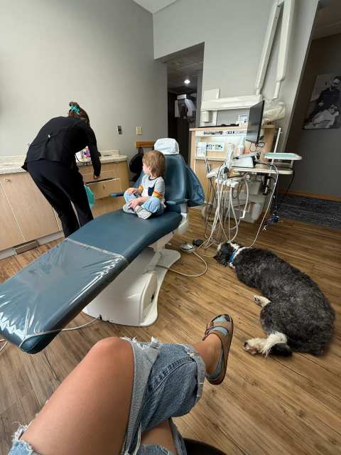 Bloom Family Dental of Sheboygan — photo 2