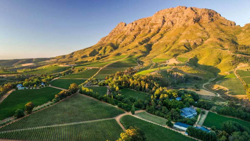 Thelema Mountain Vineyards